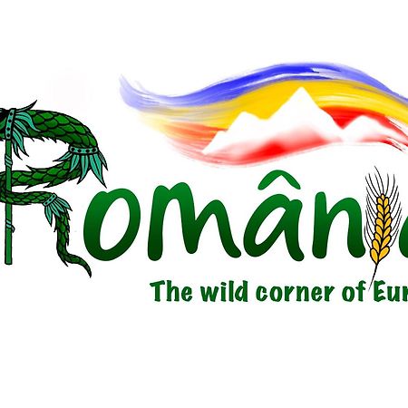 Villa Rihuini Eco Wine House Transylvania Richisu Eksteriør bilde