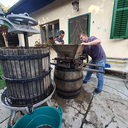 Villa Rihuini Eco Wine House Transylvania Richisu Eksteriør bilde