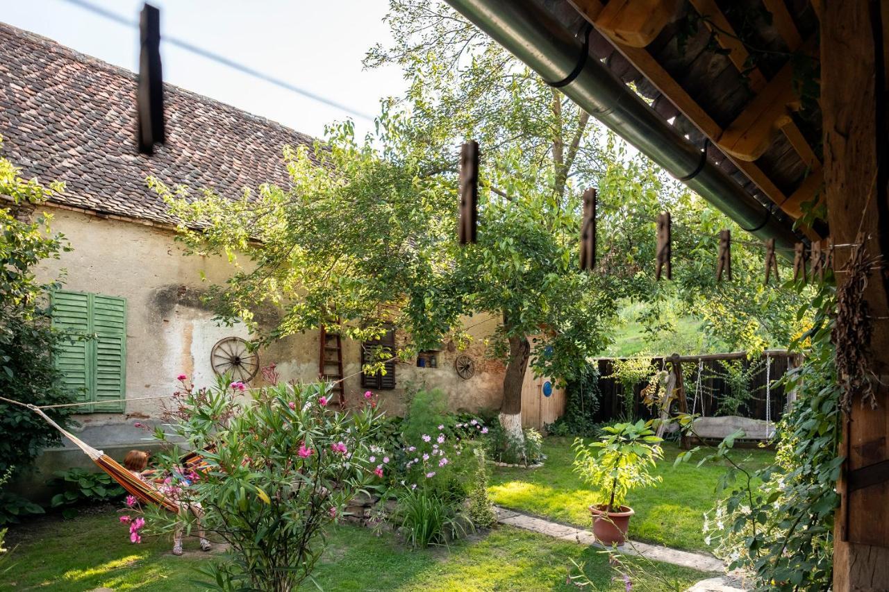 Villa Rihuini Eco Wine House Transylvania Richisu Eksteriør bilde