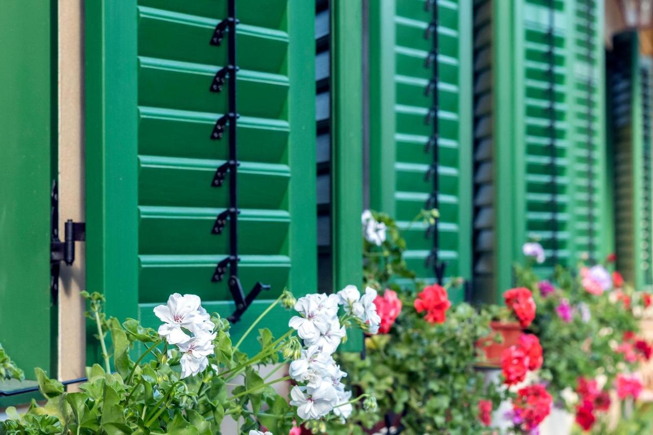 Villa Rihuini Eco Wine House Transylvania Richisu Eksteriør bilde