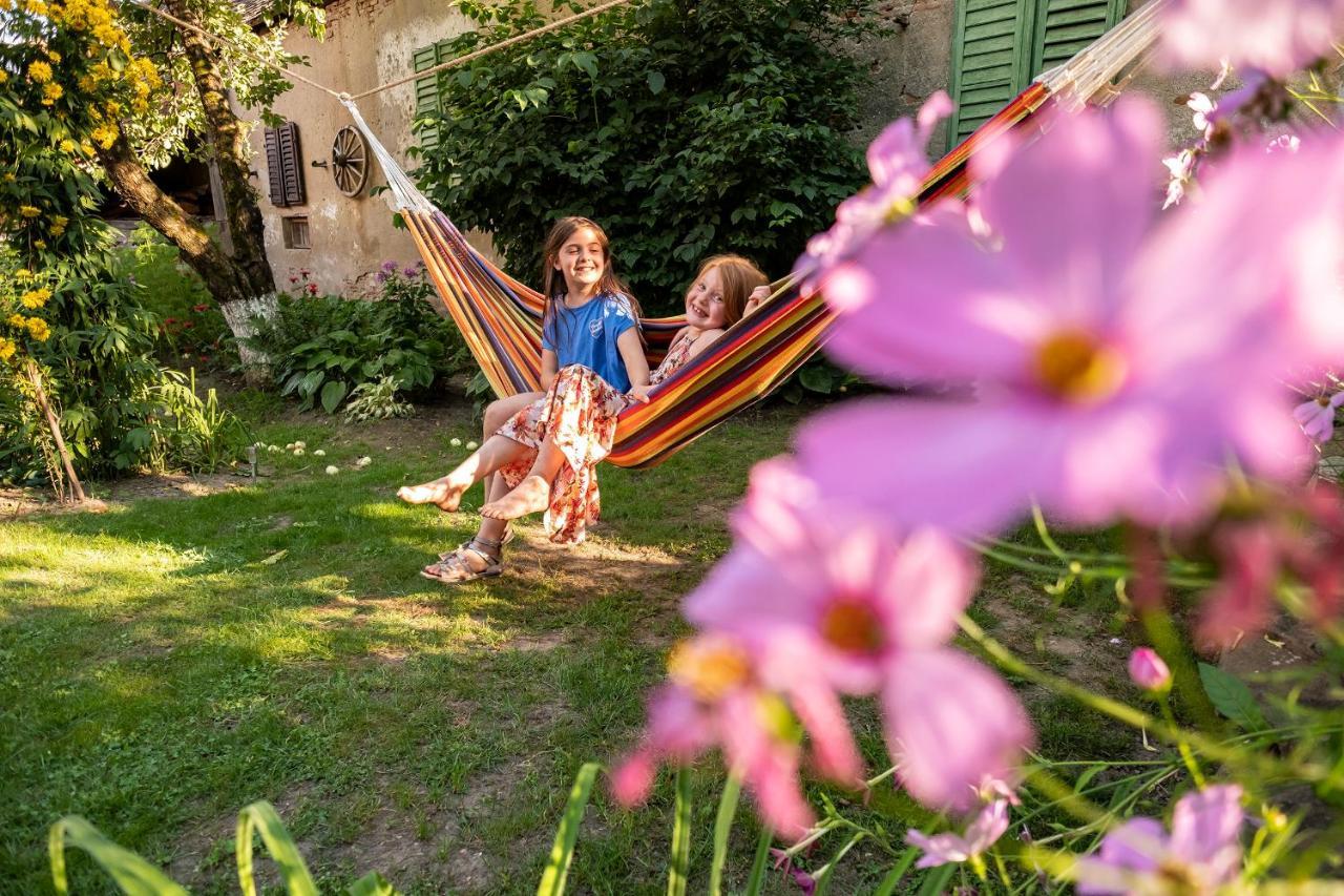 Villa Rihuini Eco Wine House Transylvania Richisu Eksteriør bilde