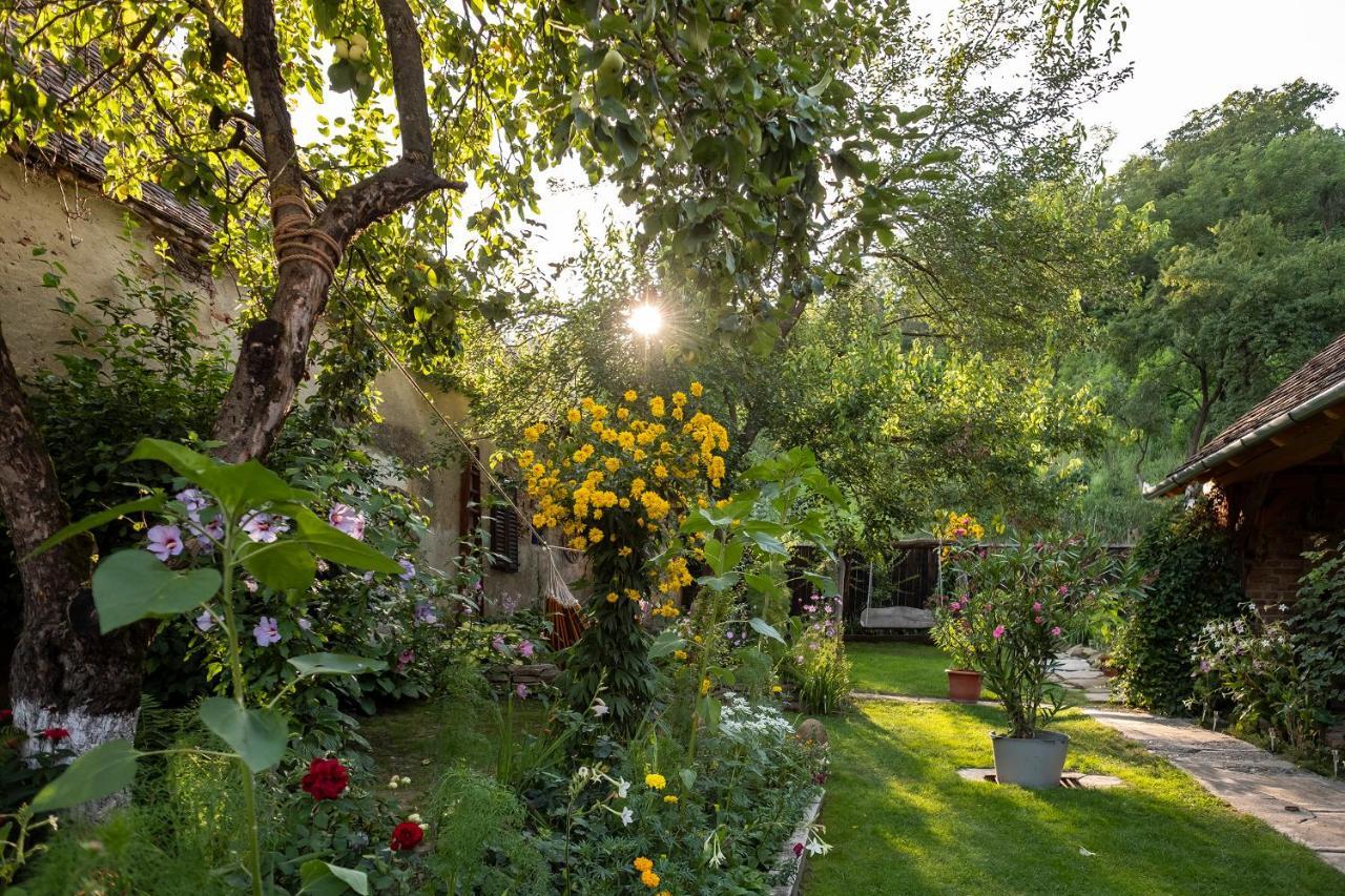 Villa Rihuini Eco Wine House Transylvania Richisu Eksteriør bilde