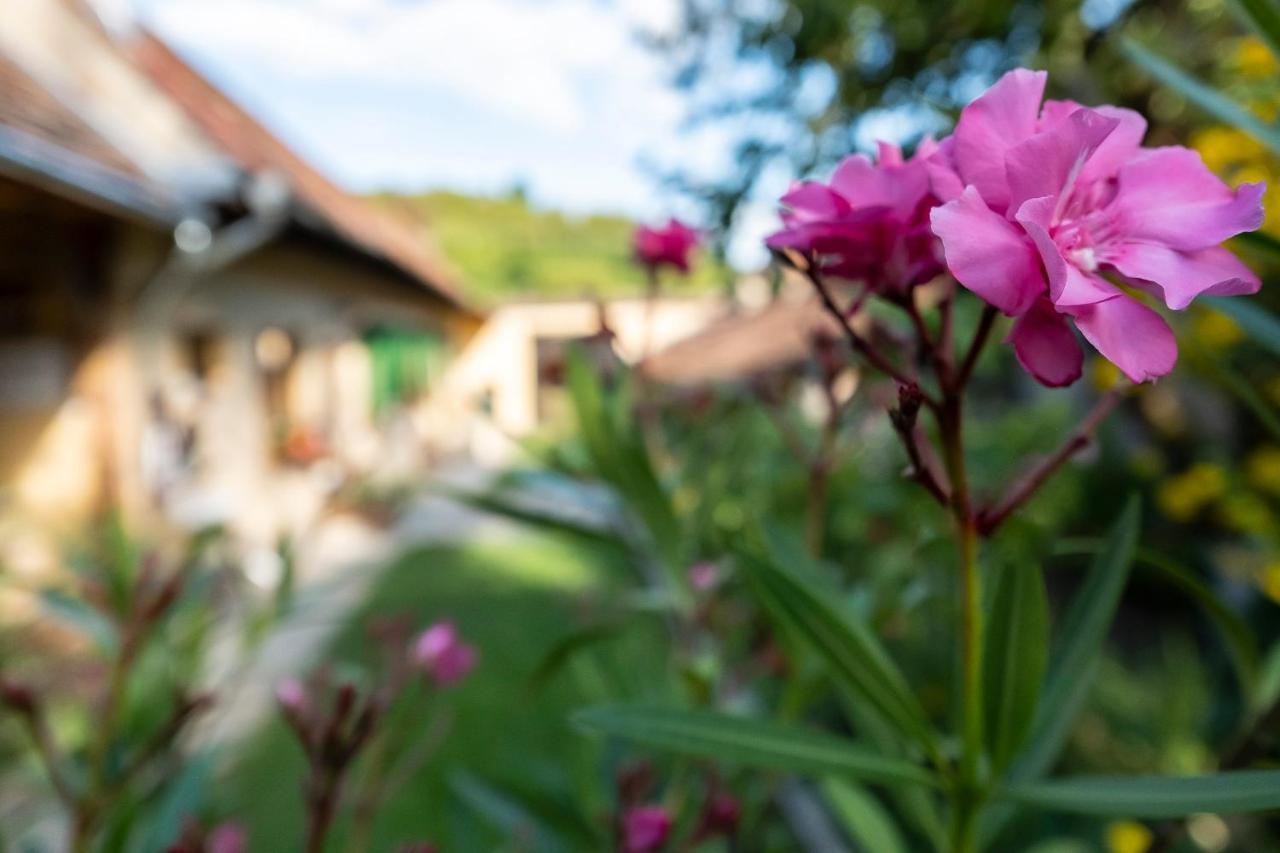Villa Rihuini Eco Wine House Transylvania Richisu Eksteriør bilde