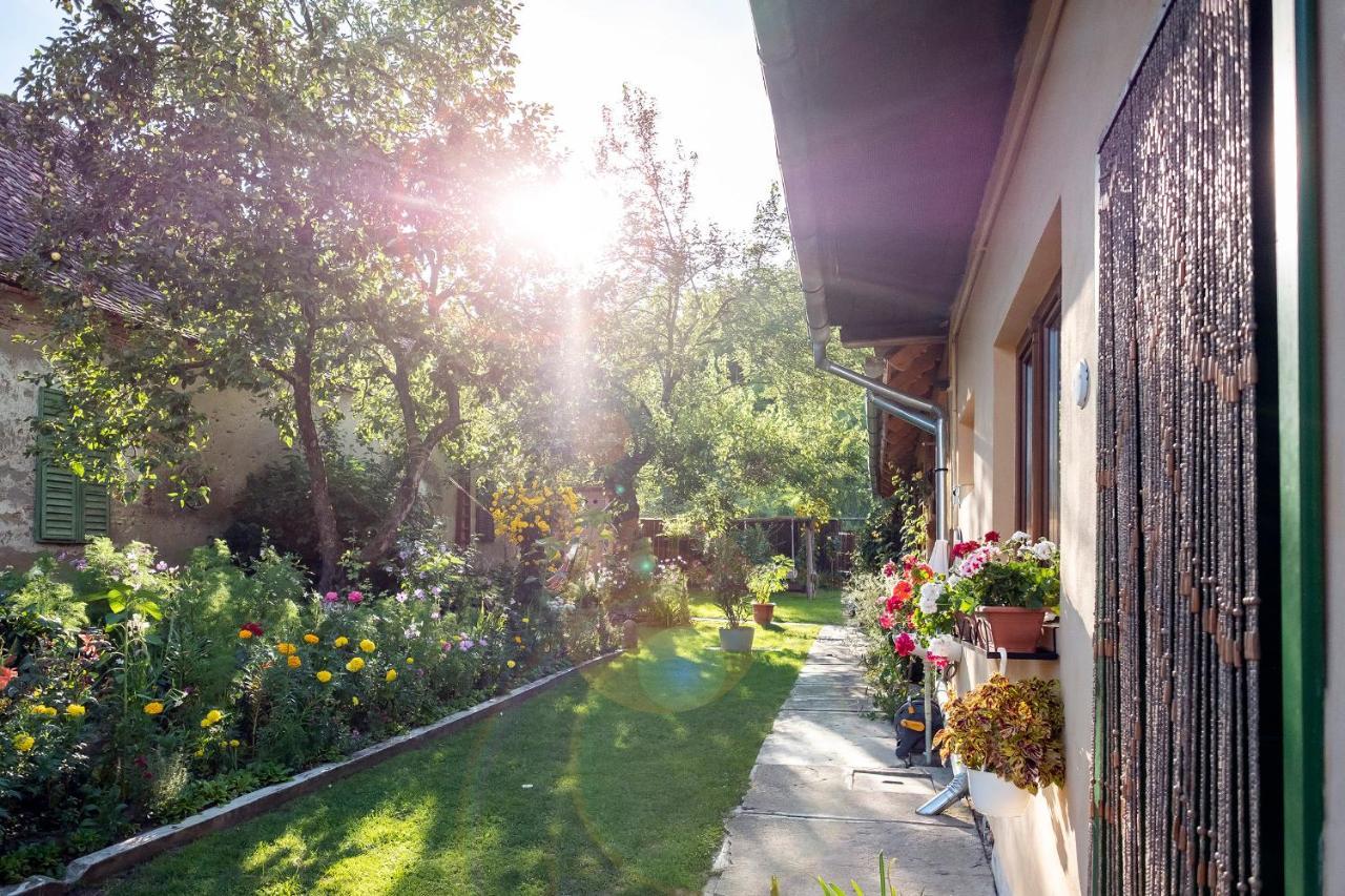 Villa Rihuini Eco Wine House Transylvania Richisu Eksteriør bilde