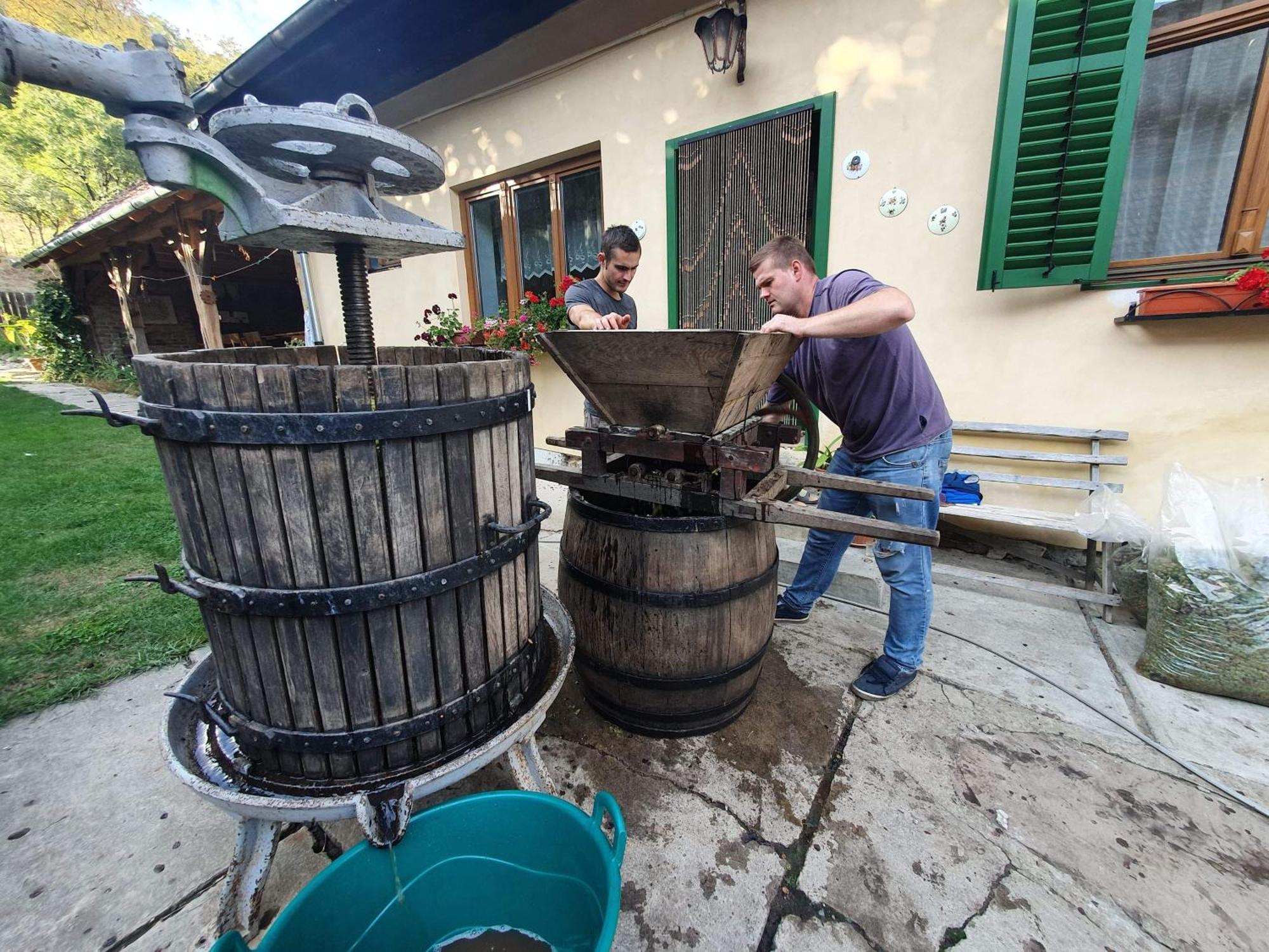 Villa Rihuini Eco Wine House Transylvania Richisu Eksteriør bilde